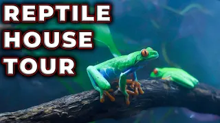Reptile House Tour | All The Pets I NEVER SHOW YOU!