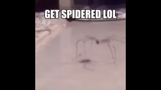 Get Spidered Lol (new meme)