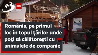 România, pe primul loc în topul ţărilor unde poţi să călătoreşti cu animalele de companie