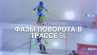 Техника слалома, Фазы поворота в трассе SL