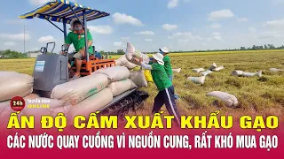 Ấn Độ cấm xuất khẩu gạo, các nước quay cuồng vì nguồn cung, rất khó mua gạo | THVN