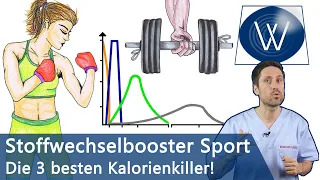 Fettverbrennung extrem: Diese 3 Sportarten (HIIT, Ausdauer, Krafttraining) verbrennen Ihr Fett