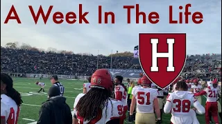 A Week in the Life of a Harvard Football Player: Yale Week