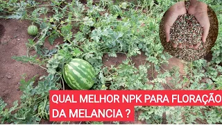 Qual melhor npk para Floração da melancia ?