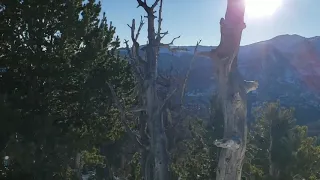 Flat Top Mountain Trail, Rocky Mt. NP, Colorado. Winter Day Hike