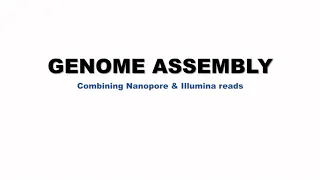 A bioinformatics tutorial on GENOME ASSEMBLY | COMBINING NANOPORE AND ILLUMINA READS