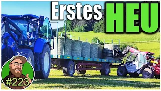 FarmVlog 223: Erstes Heu | Zebus einfangen | Der Steyr zu Gast in Schrenkersberg