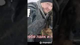 Подборка из тик тока. Пёс смешные моменты 4.