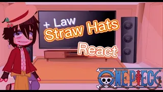 [ StrawHats React ] • [ + Law ] • [ GC ] • [ US-ES ] • [ 1/?? ] • [ LawLu - ZoSan ] •