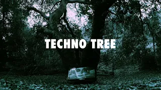 Will Clarke & Ammara - Techno Tree (Official Video)