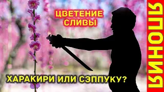 Цветение японской сливы. Чем харакири отличается от сэппуку. Самые красивые японские храмы.