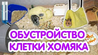 Как обустроить клетку для сирийского и джунгарского хомяка? Что должно быть в клетке