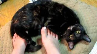 Lily licks my foot