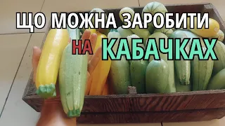 ВИРОЩУЙ КАБАЧКИ НА ПРОДАЖ ПРАВИЛЬНО!Бізнес на кабачках/Наш заробіток на кабачках в 2023