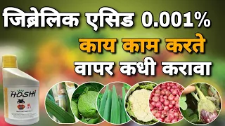 जिब्रेलिक एसिड चे फायदे | जिब्रेलिक एसिड काय काम करते | Gibberellic acid 0.001 %