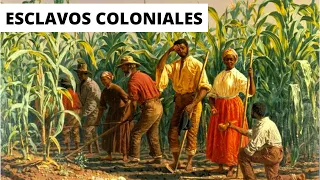 WHAT WAS the LIFE of a SLAVE LIKE in COLONIAL TIMES?