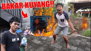 NGERI!! KUY4NG NGAMUK SAAT MAU DI BAKAR?!