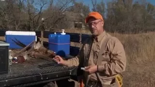 Chokes and Shells for Pheasants -- Safe Shooting & Hunting Tips with Dave Miller