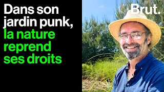 Pas d'arrosage, peu d'entretien… et un résultat spectaculaire : le jardin punk d'Éric Lenoir