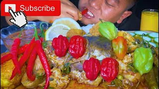 10 CHILLI 🌶🌶🌶 WITH SPICY FISH CURRY || NORTH EAST INDIA MUKBANG ❤️❤️❤️