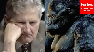 'As Long As King Kong's Arm': John Kennedy Confronts Biden Judicial Nominee With Old Tweets