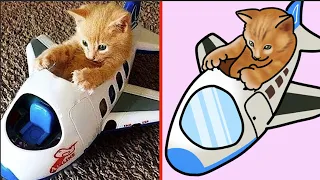 😂Cat Memes: Skibidi Toilet Cat and Funniest Dogs (updated)😅Trending Cats on TikTok 2023😹 #3