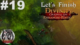 Let's Finish Divinity Original Sin Enhanced Edition #19
