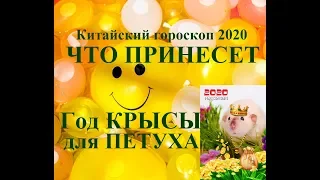 Год КРЫСЫ для ПЕТУХА. Китайский гороскоп 2020. Таропрогноз.