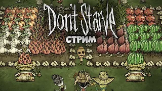 🔴LIVE | Потихоньку готовимся к чемпиону | Don't Starve Together