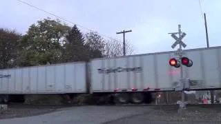 NS 262 Roadrailer - Hillside PA