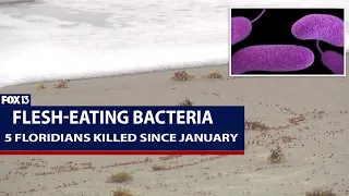Flesh-eating bacteria kills 5 in Florida