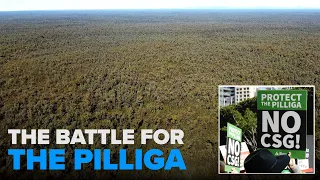 The Battle For The Pilliga, Australia's Largest Native Inland Forest