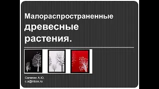 Трейлер к вебинару Александра Сапелина «Перспективные редкие виды древесных» (трейлер)