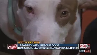 Reading With Rescue Dogs