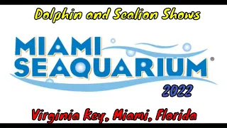 Miami Seaquarium Animal Shows - Virginia Key, Miami, Florida