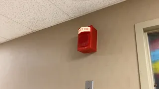 Fire Alarm Inspection - Simplex 2903 Lights/Speakers on 4100U