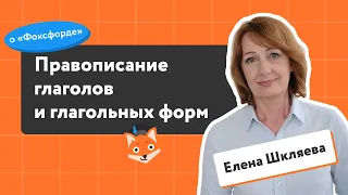 Правописание глаголов: объясняет Елена Шкляева | Преподаватели «Фоксфорда» | Русский язык