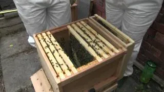 Film 15 adventures in beekeeping.mov