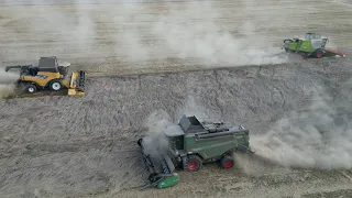 3 Mähdrescher auf ein Schlag / NEW HOLLAND CR8.90, FENDT 6275 & CLAAS LEXION 660 / 4K