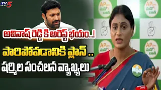 జైలు కి రెడీ.. | YS Sharmila Sensational Comments On YS Avinash Reddy | YSRCP | Kadapa | TV5 News