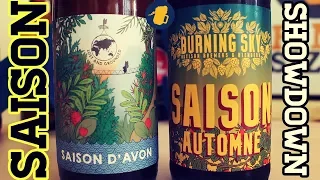 Lost & Grounded vs Burning Sky - A Saison Showdown