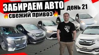 Свежее Поступление авто из Японии! что везут сегодня, какие цены!