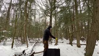 Recreational Tree Climbing - Installing Rope in Tree