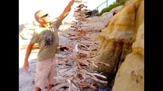 how to make a Driftwood Christmas Tree