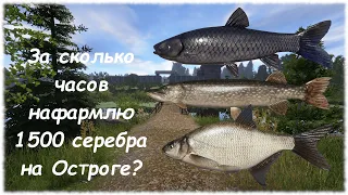 Русская рыбалка 4 Острог. За сколько нафармлю 1500 серебра? Лещ, черный амур, щука #3