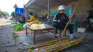 Go to the market to sell purple sugar cane, Cabbage - Gardening, Farm Life | Green Farm