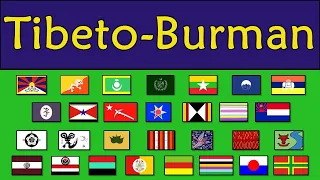 TIBETO-BURMAN LANGUAGES