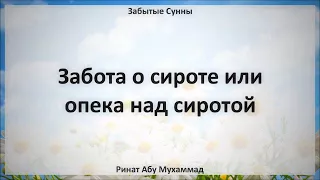 87. Забота о сироте или опека над сиротой || Ринат Абу Мухаммад