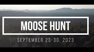 Maine Moose Hunt 2023