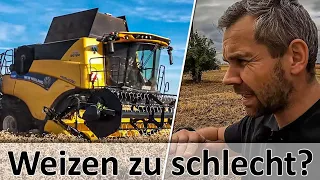 Keine BACKQUALITÄT in der WEIZENERNTE bei Landwirt in MV - New Holland Drescher - M4cM4nus reagiert